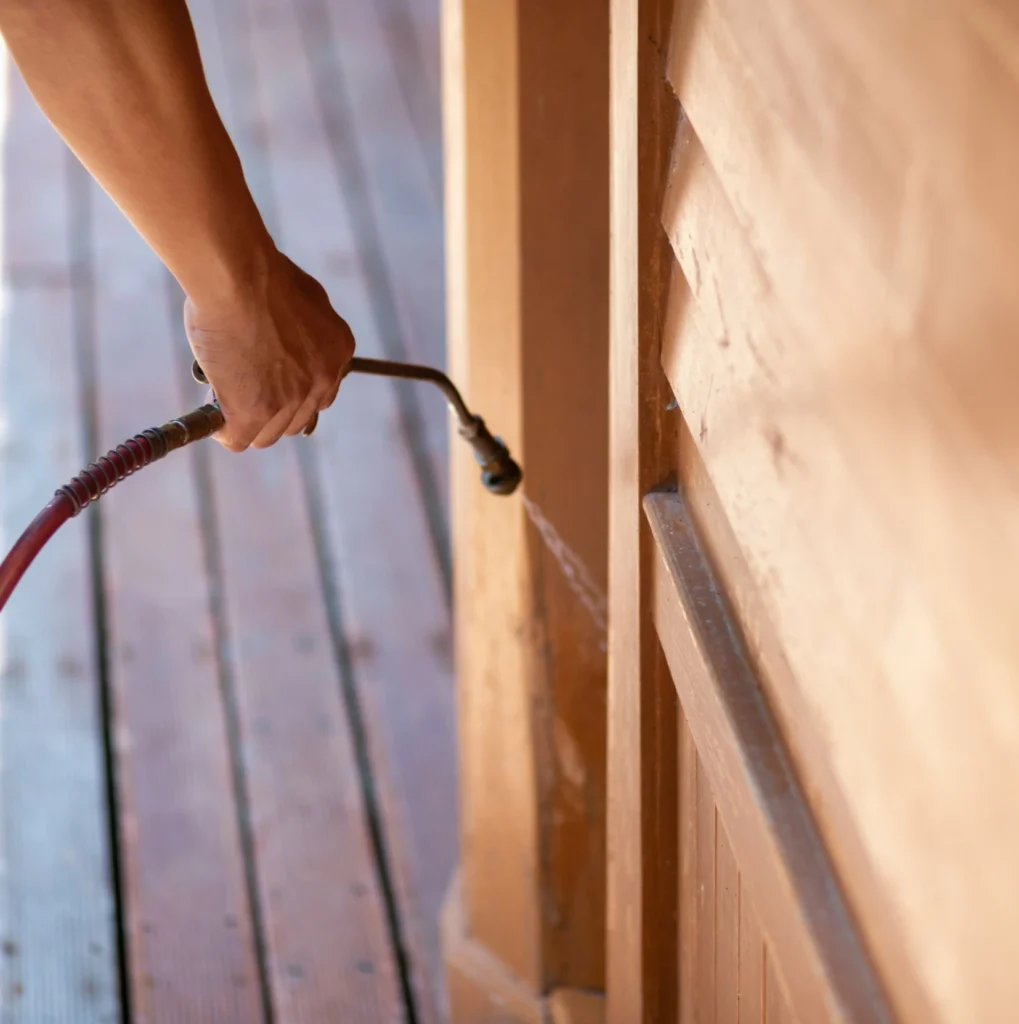 Trusted Pest Control - Franklin Square Pest Control Pros | Franklin Square, NY | 516-588-6580